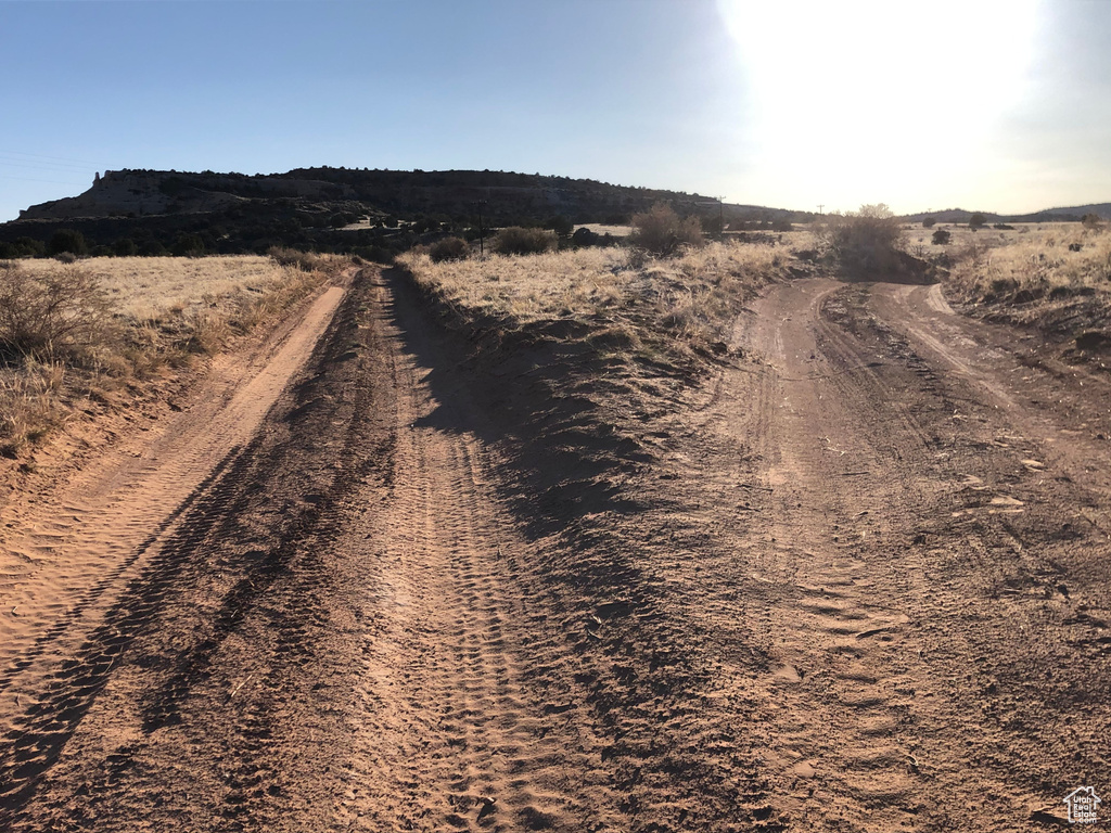 View of dirt / gravel road with a rural view