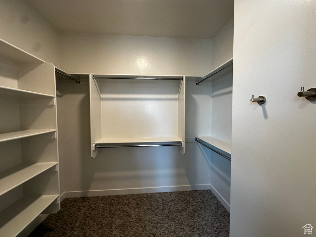 Walk in closet featuring carpet floors