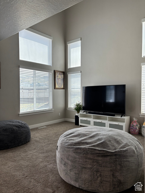 Carpeted bedroom featuring baseboards and a towering ceiling