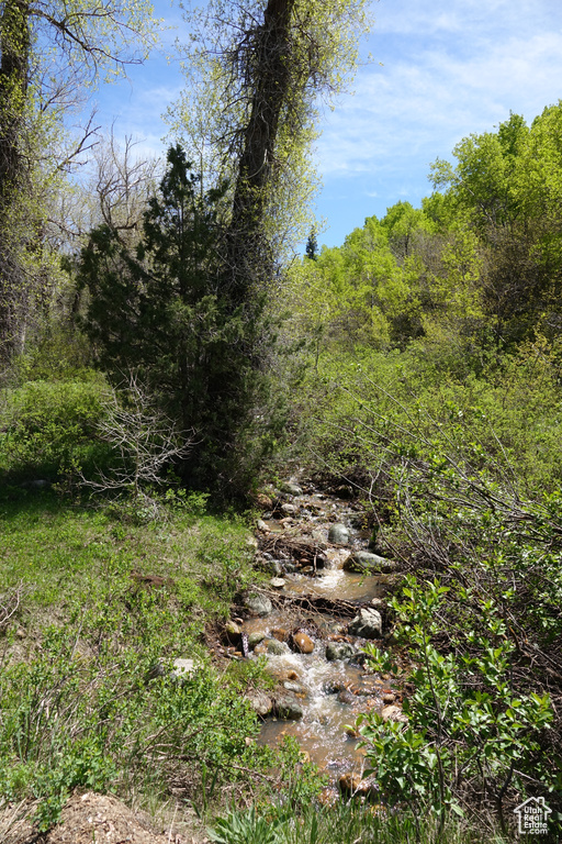 View of woods