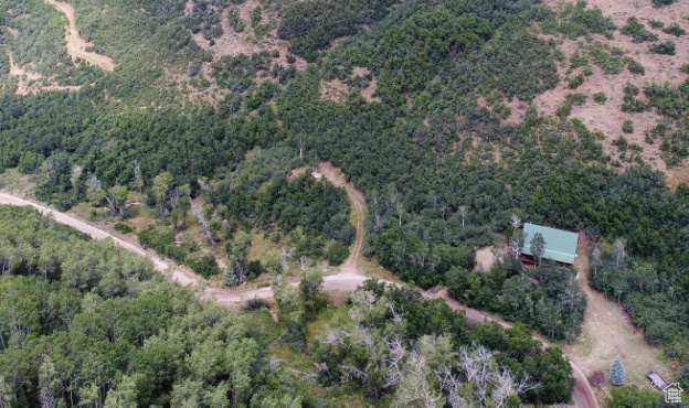 Aerial view of property and surrounding area with a forest