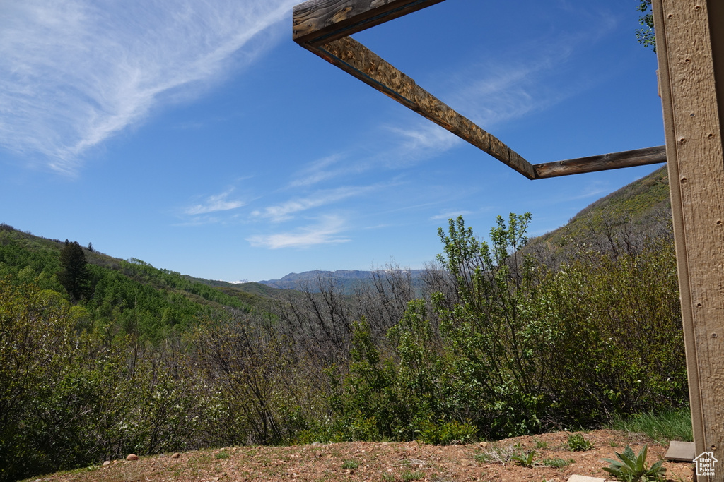 View of mountain background with a heavily wooded area