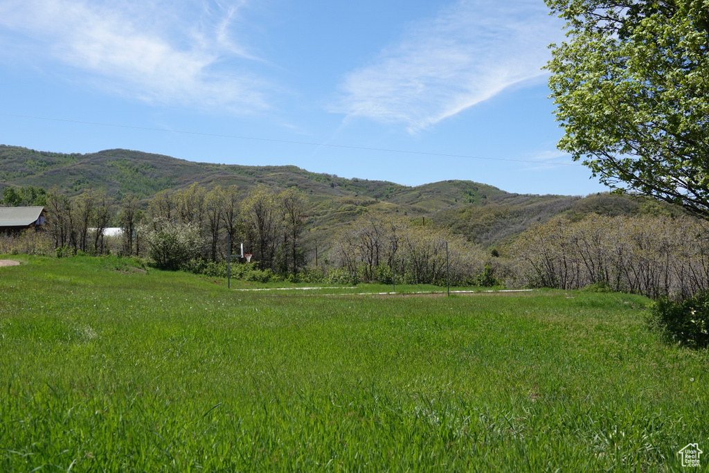 Mountain view with rural landscape