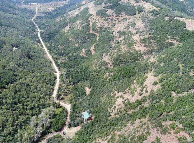 Aerial view of property\'s location with a heavily wooded area