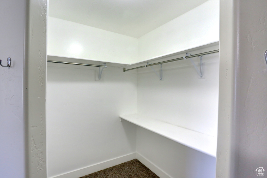 Spacious closet with dark colored carpet