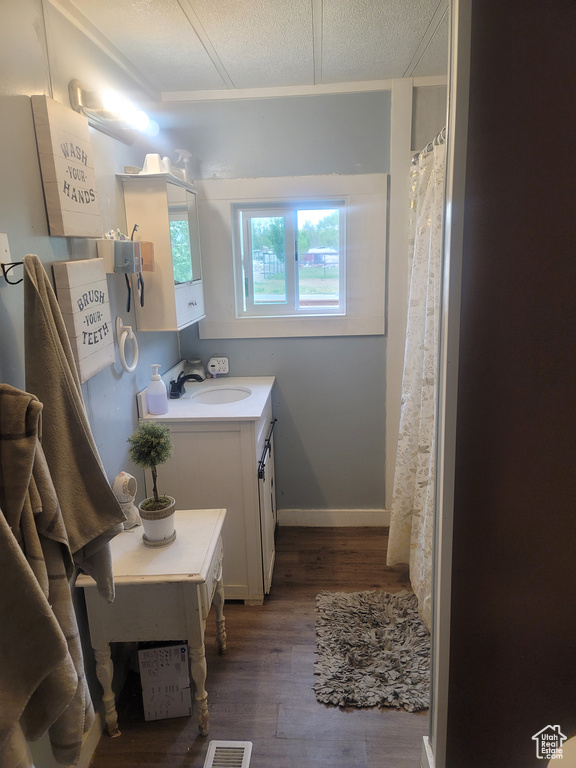 Bathroom featuring wood finished floors, vanity, and a textured ceiling