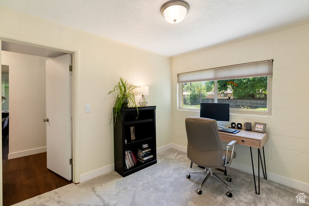 Office with baseboards and carpet flooring
