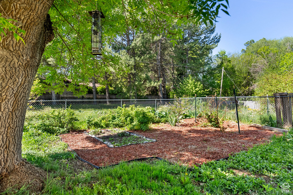 View of fenced backyard