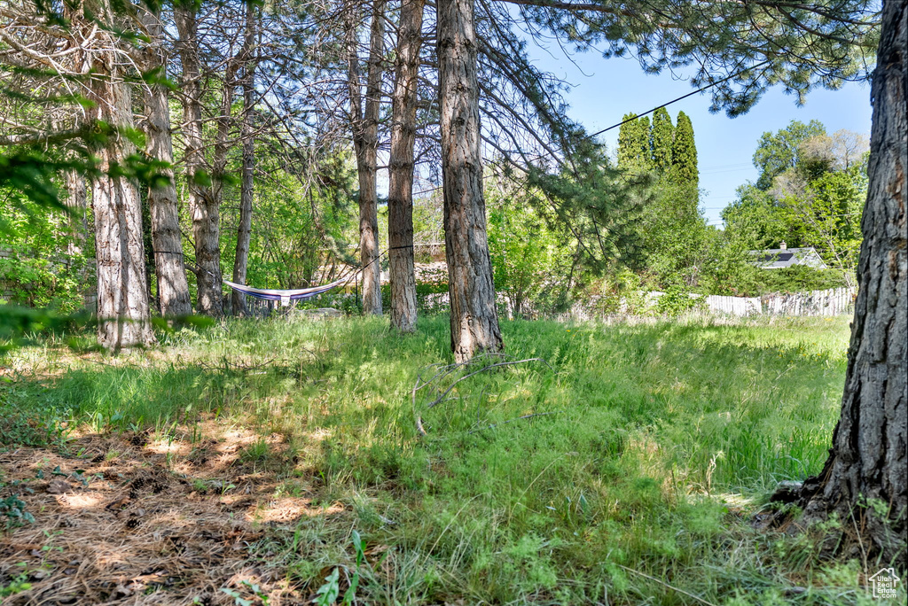 View of nature