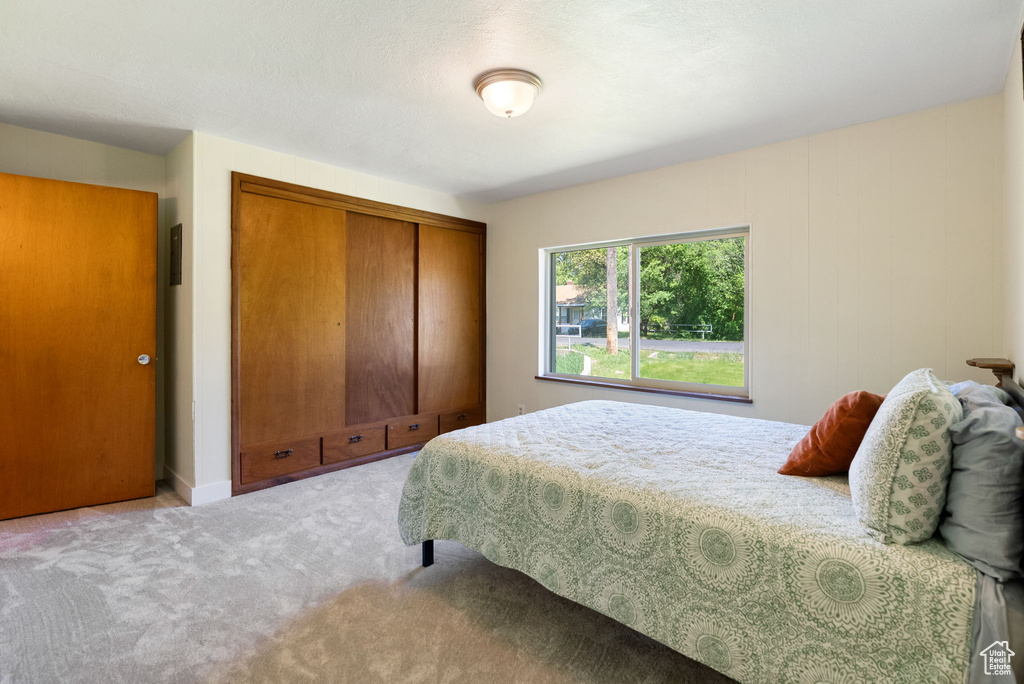 Bedroom with a closet and carpet flooring