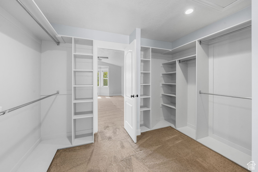 Spacious closet featuring carpet flooring