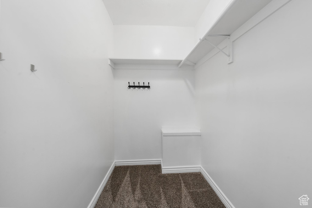 Spacious closet featuring carpet floors