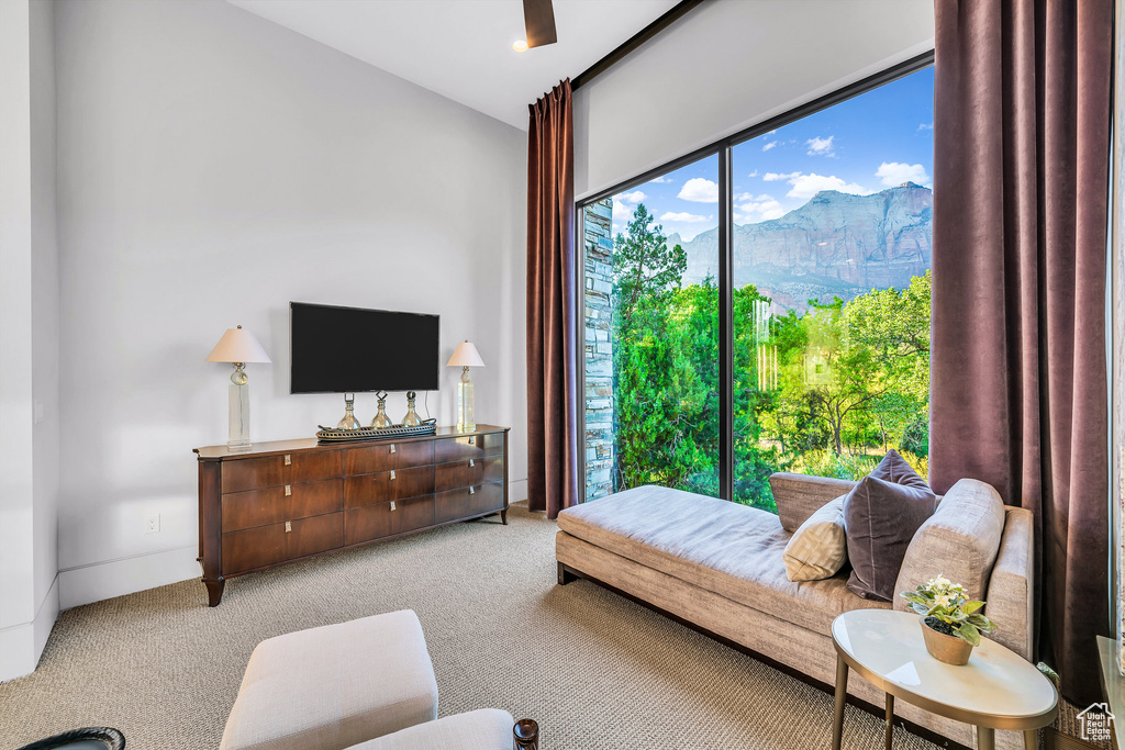 Photo 36 for MLS #2084392 at 1203 Canyon Springs Rd