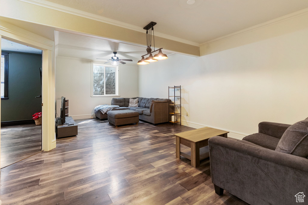 Living room with dark wood-style flooring, ornamental molding, baseboards, and ceiling fan