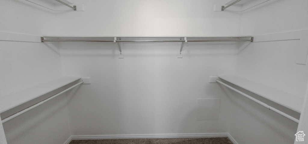 Walk in closet with carpet
