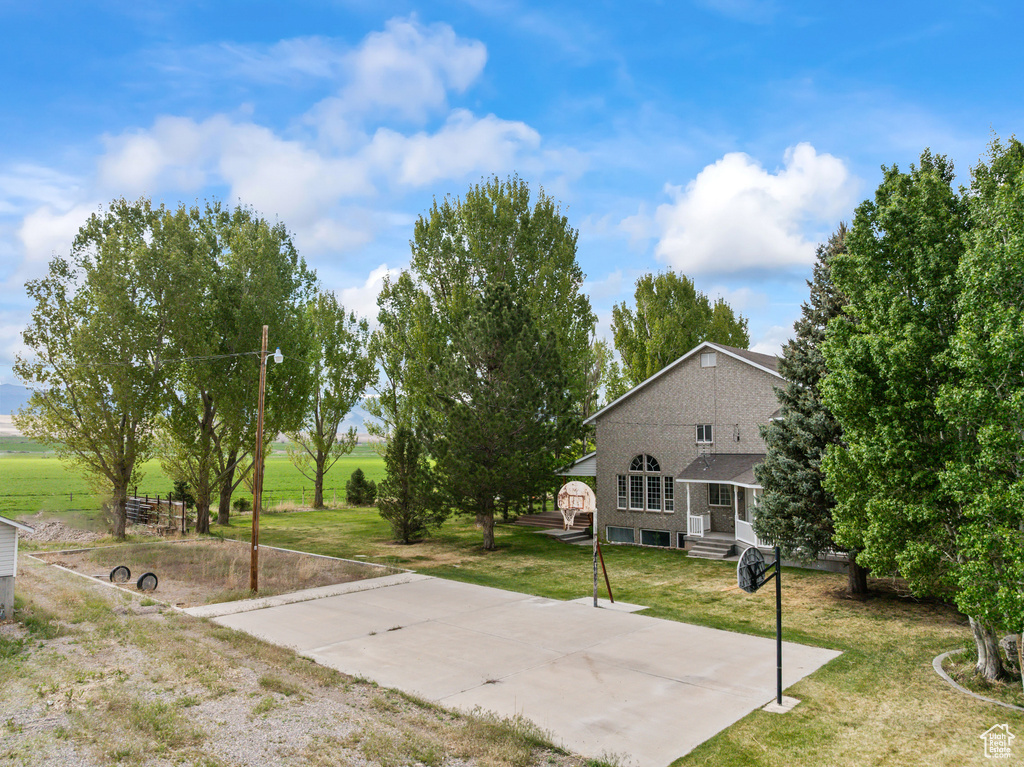 View of grassy yard