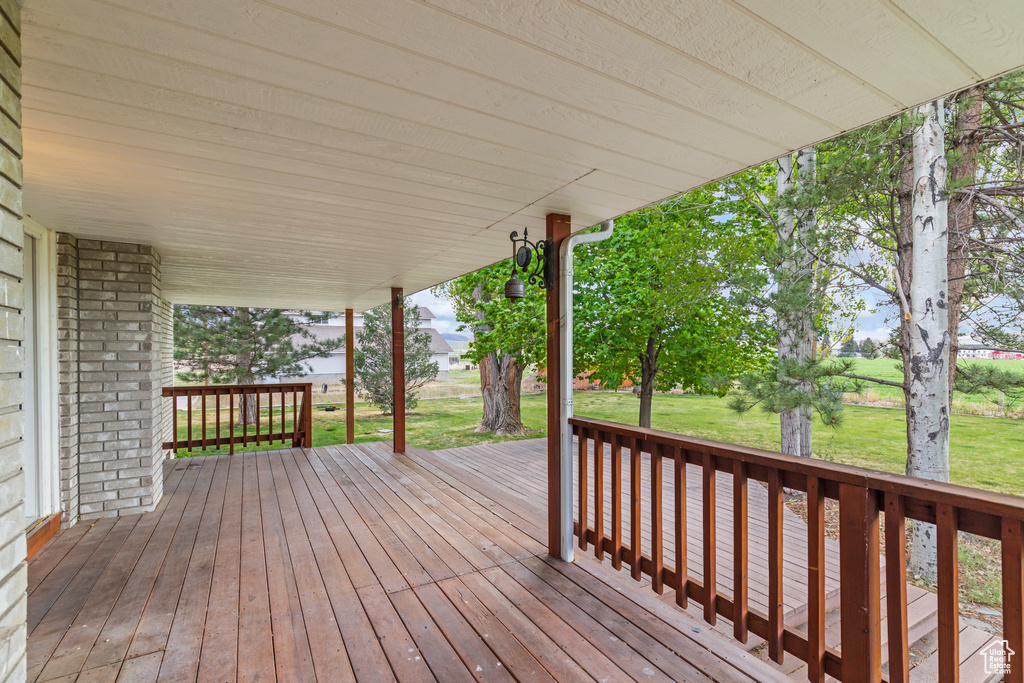 Wooden deck with a lawn