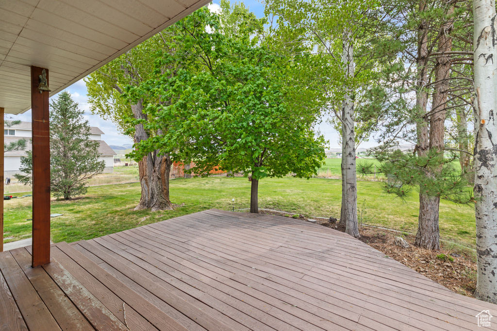 Wooden deck featuring a lawn