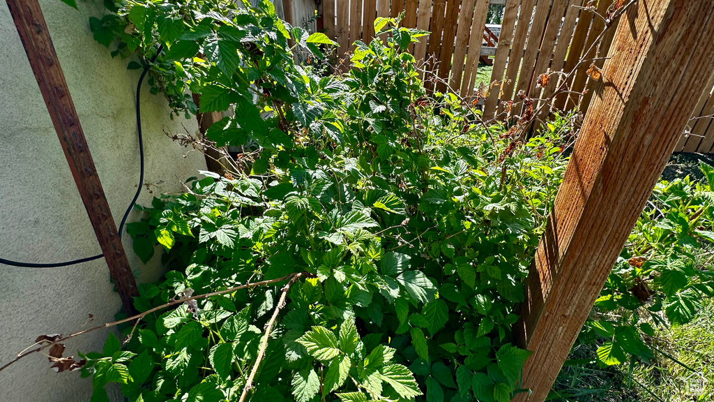 Exterior view of fence