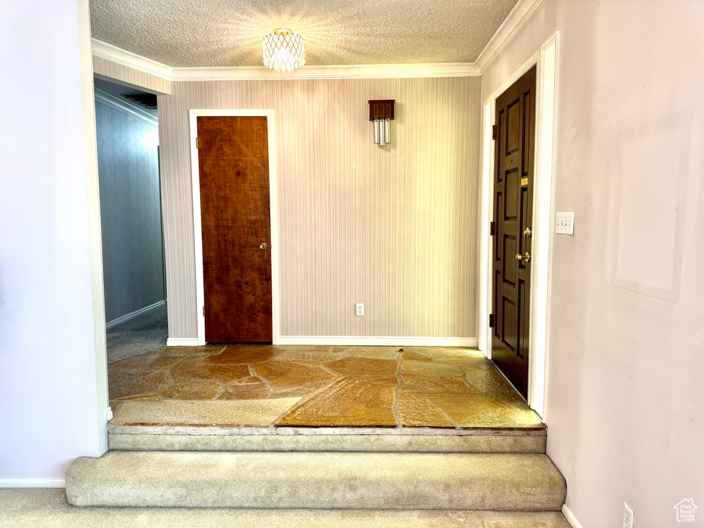 Foyer entrance featuring crown molding, carpet flooring, baseboards, and a textured ceiling
