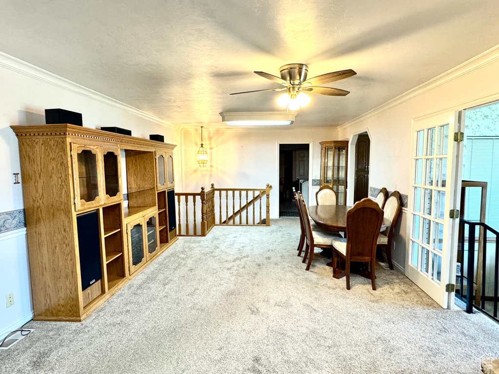 Carpeted dining space featuring crown molding and a ceiling fan