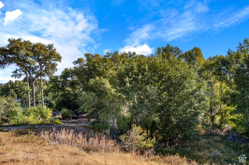 View of undeveloped land