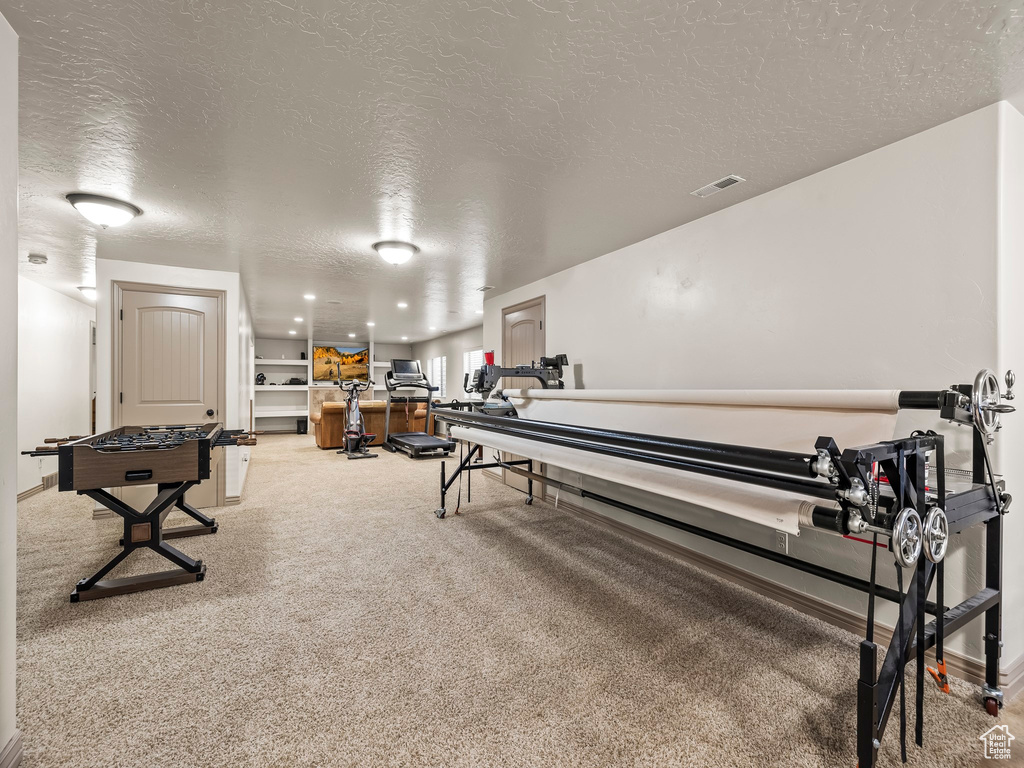 Miscellaneous room with a textured ceiling and carpet