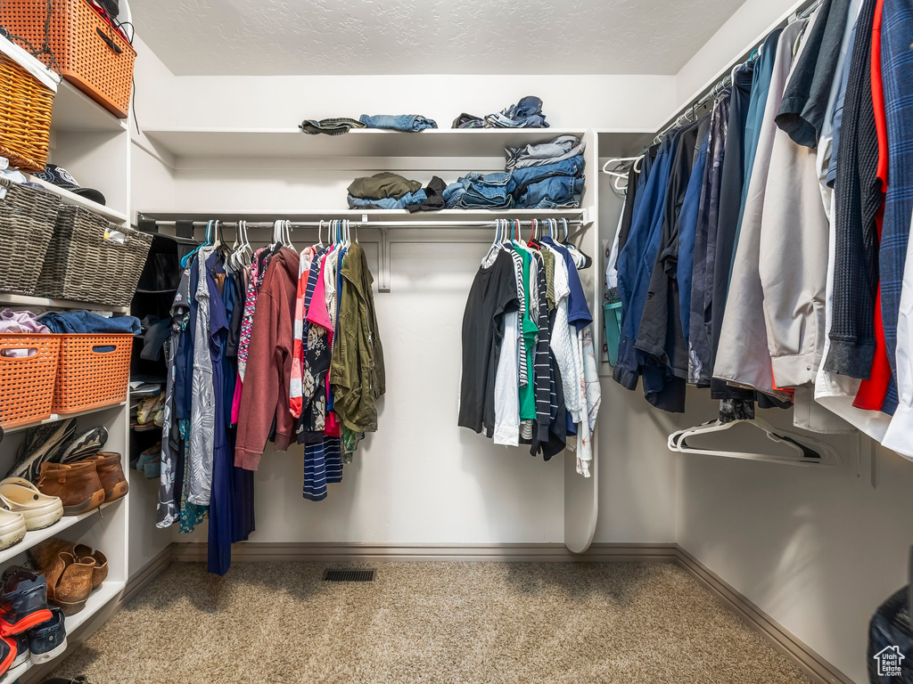 Spacious closet featuring carpet