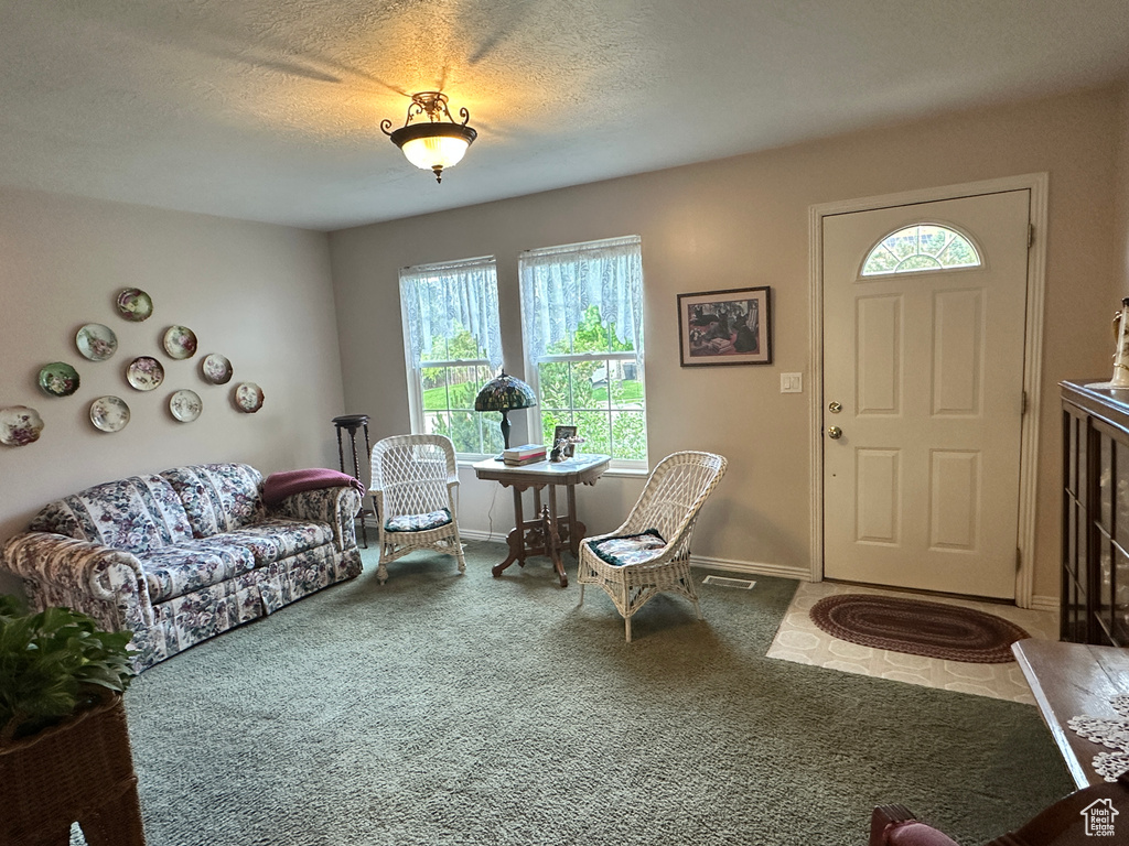 Carpeted living room with healthy amount of natural light, baseboards, and a textured ceiling