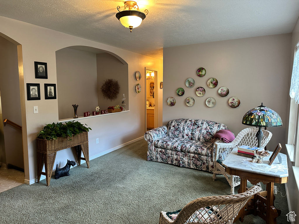Living area featuring carpet, arched walkways, a textured ceiling, and baseboards