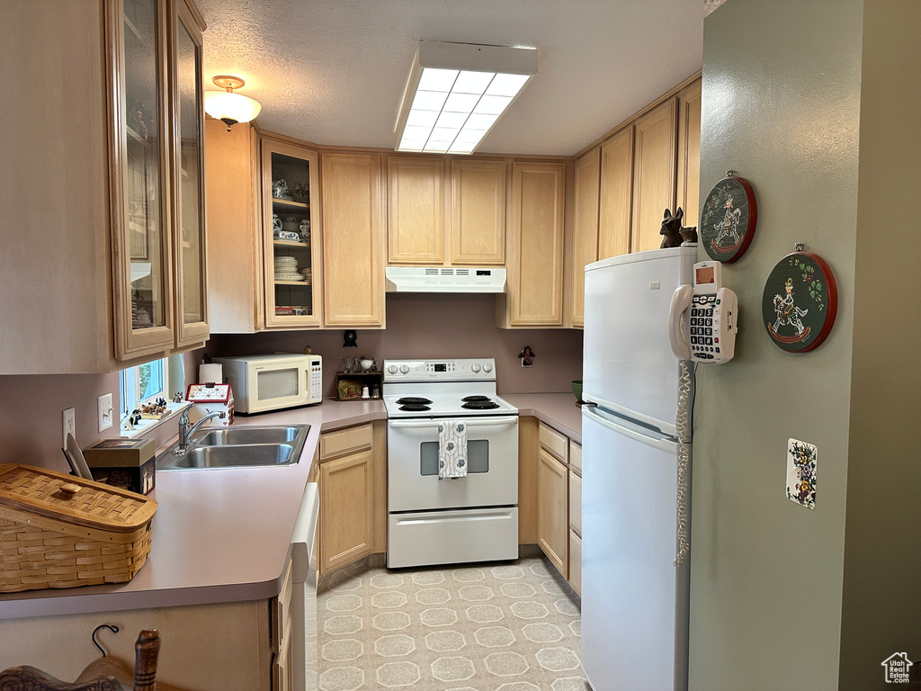 Kitchen featuring white appliances, under cabinet range hood, a sink, light brown cabinets, and light countertops