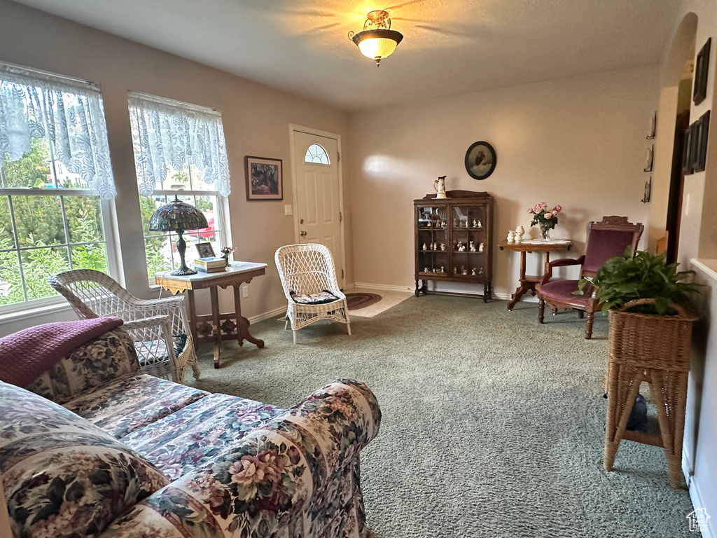 Sitting room featuring carpet floors and baseboards