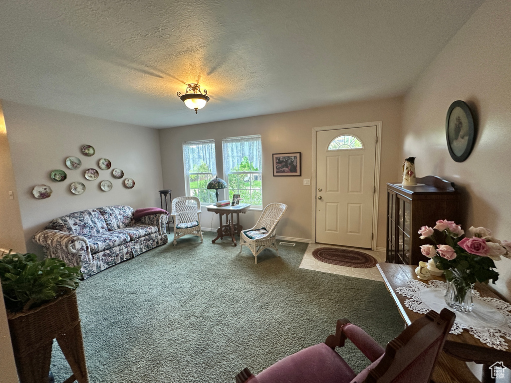 Living area featuring carpet, baseboards, and a textured ceiling