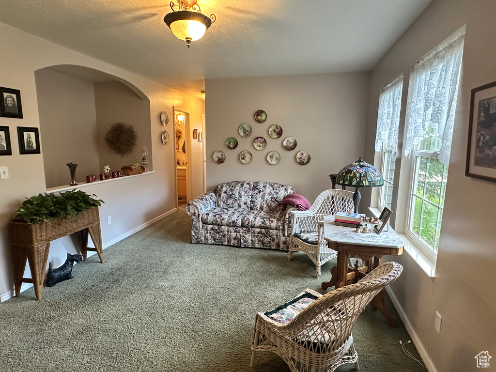 Living room featuring plenty of natural light, carpet, and baseboards