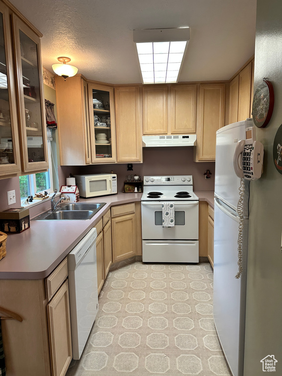 Kitchen with white appliances, a sink, under cabinet range hood, light brown cabinets, and light countertops