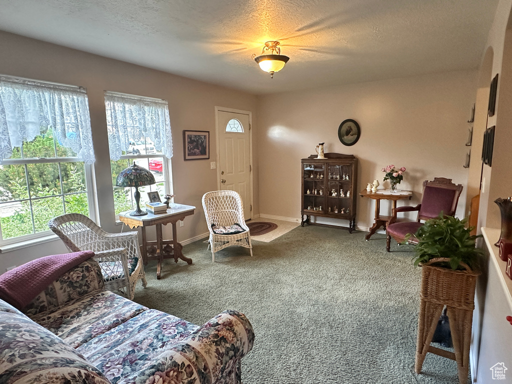 Living area with carpet flooring, plenty of natural light, a textured ceiling, and baseboards