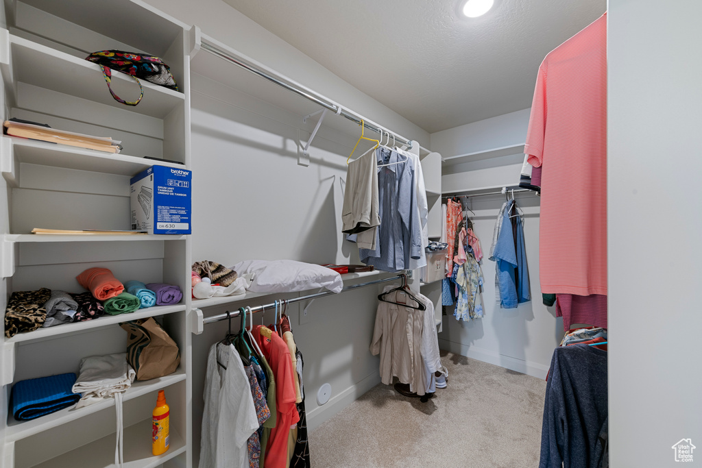 Spacious closet with carpet floors