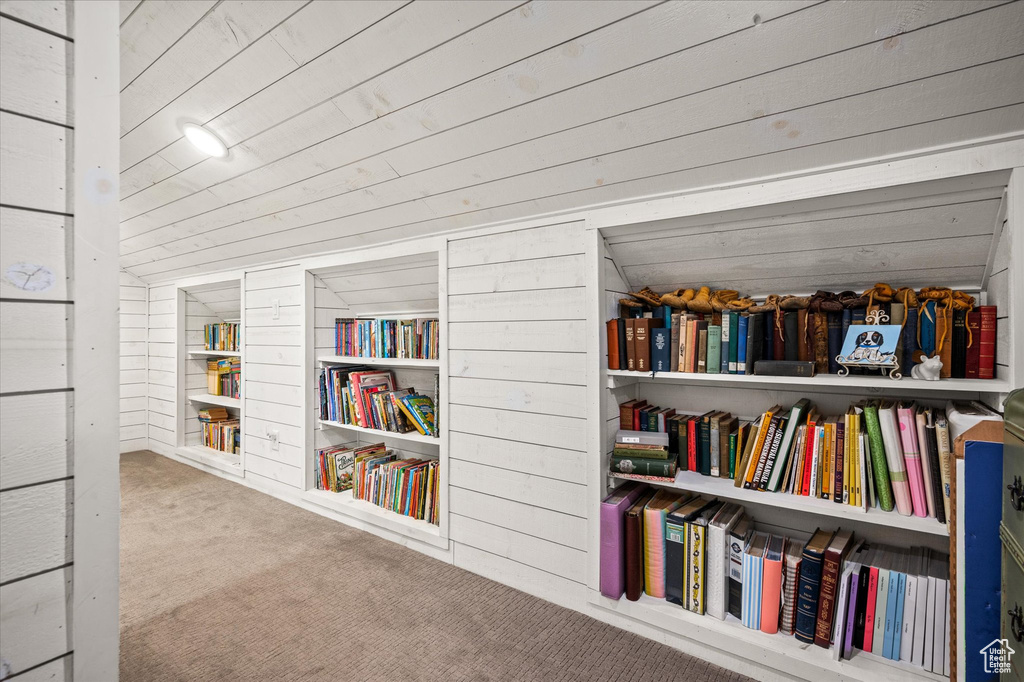 Misc room with carpet floors and wood walls