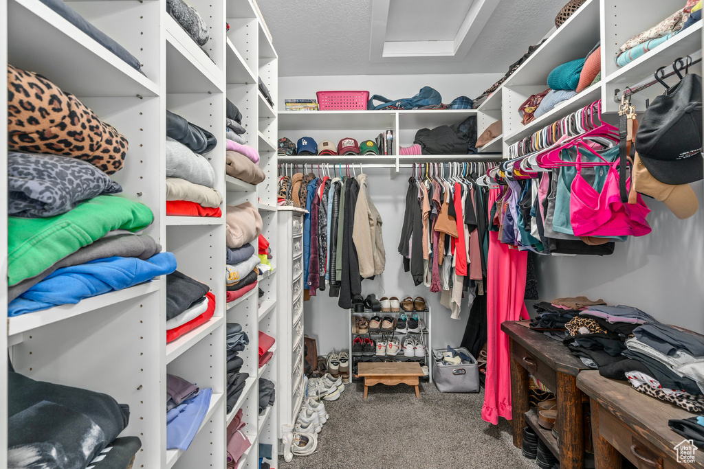 Walk in closet with carpet floors