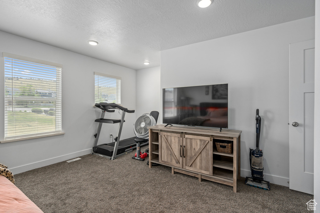 Workout area with carpet flooring, a textured ceiling, baseboards, and recessed lighting
