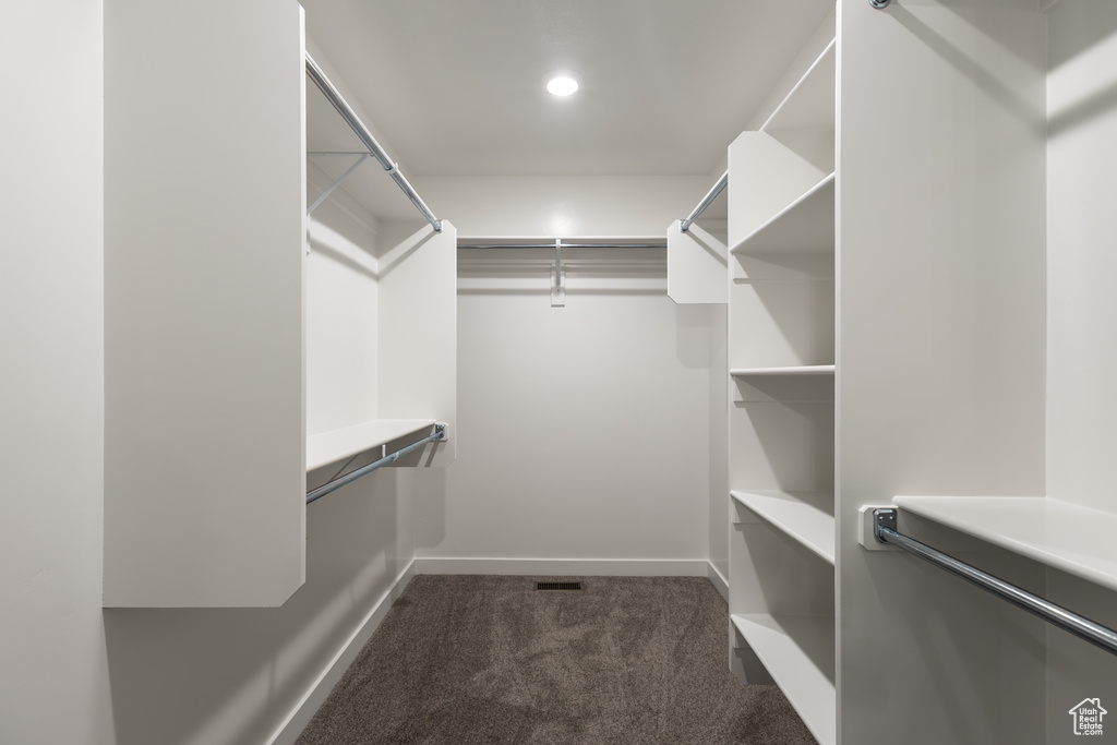 Spacious closet featuring carpet flooring
