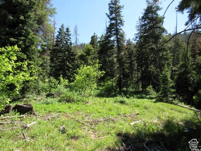 View of wooded area
