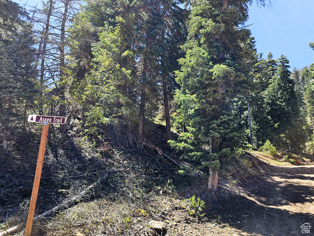 View of local wilderness