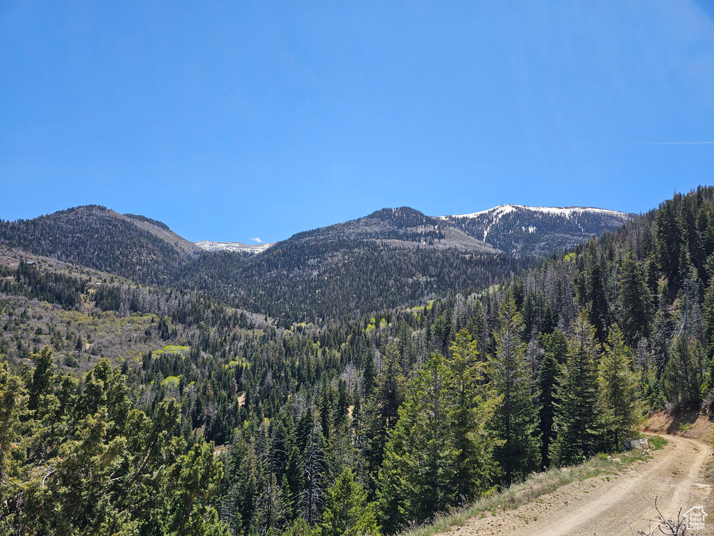 View of mountain backdrop featuring a forest
