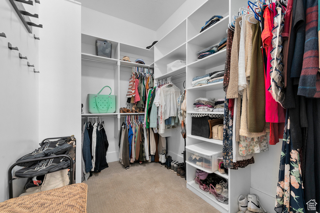 Walk in closet featuring carpet flooring