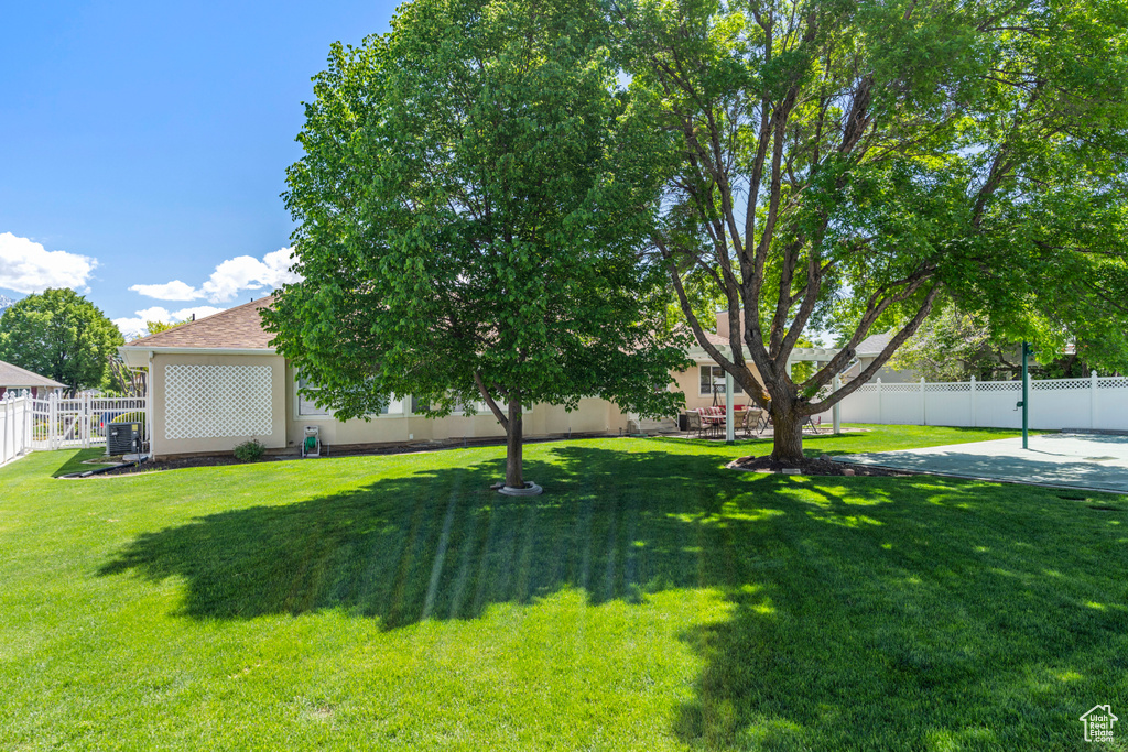 View of yard featuring a patio area