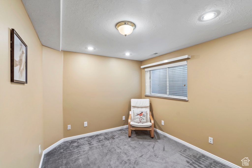 Sitting room featuring carpet flooring, baseboards, recessed lighting, and a textured ceiling