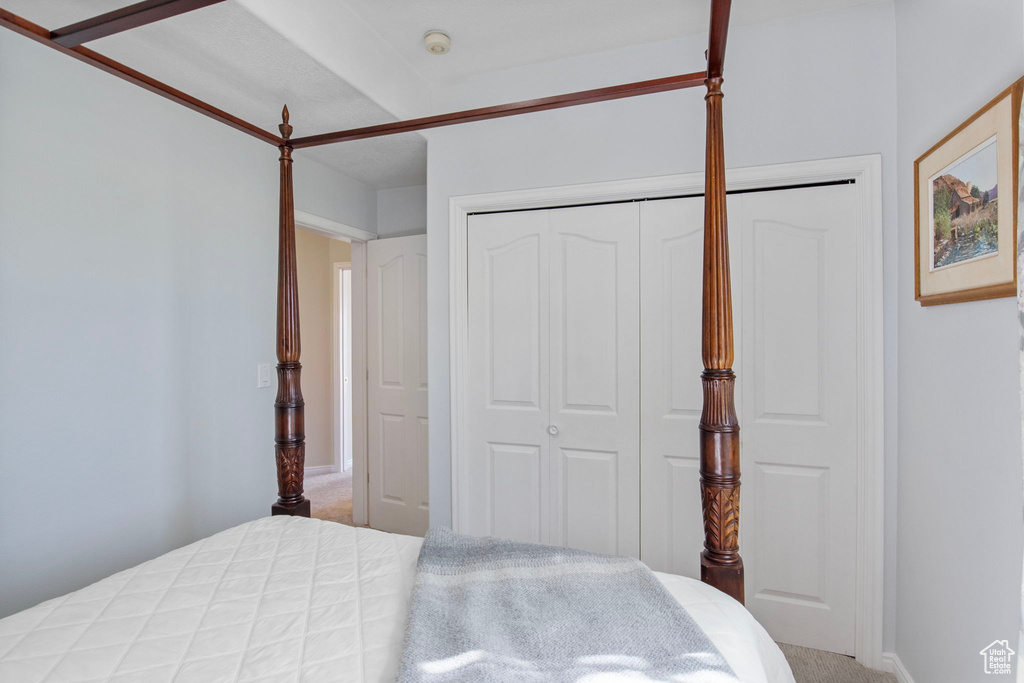 Bedroom featuring carpet flooring and a closet