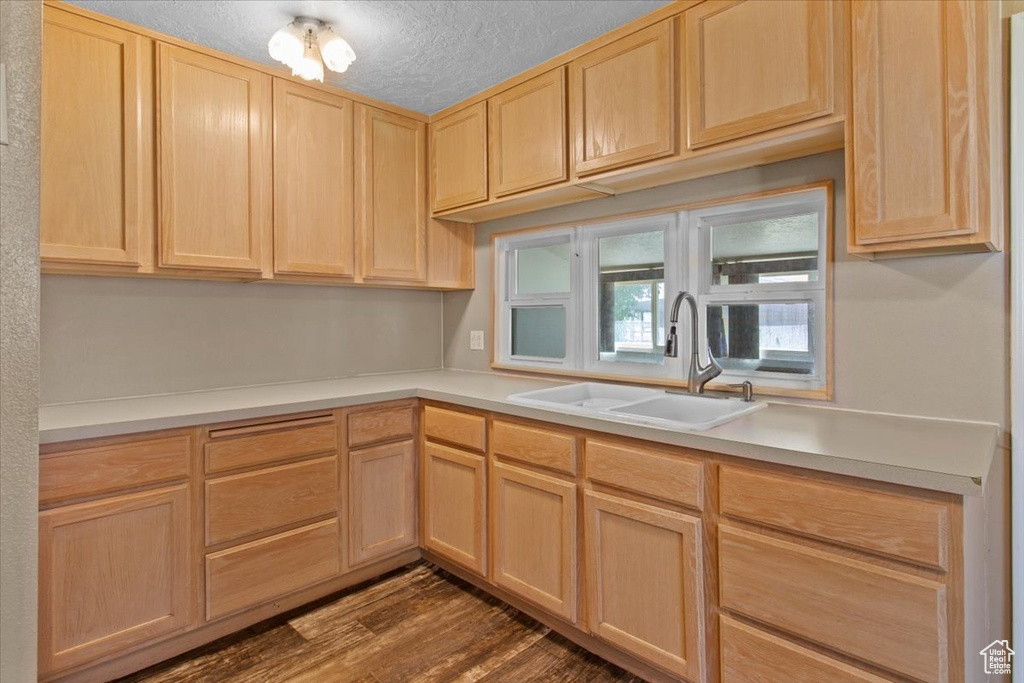 Kitchen with light brown cabinets, a sink, light countertops, and dark wood finished floors