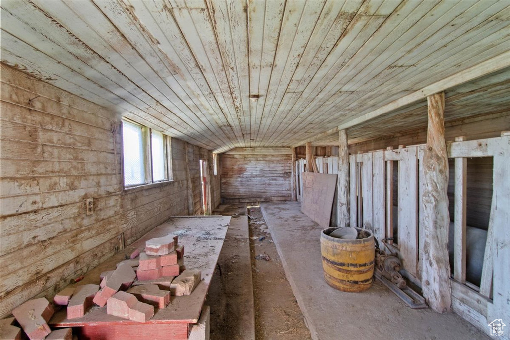 View of unfinished attic